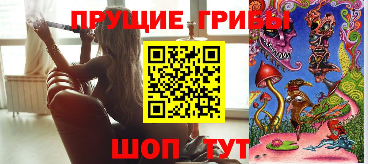 Псилоцибиновые грибы мицелий  Вход с VPN  Торжок 